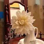 オスタル ラ フエンテ *